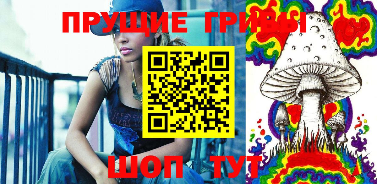 Богородицк  где продают наркотики  Вход с VPN  Псилоцибиновые грибы Cubensis 